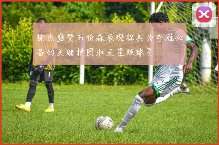 徐杰盛赞布伦森表现称其为夺冠必备的关键拼图和五星级球员