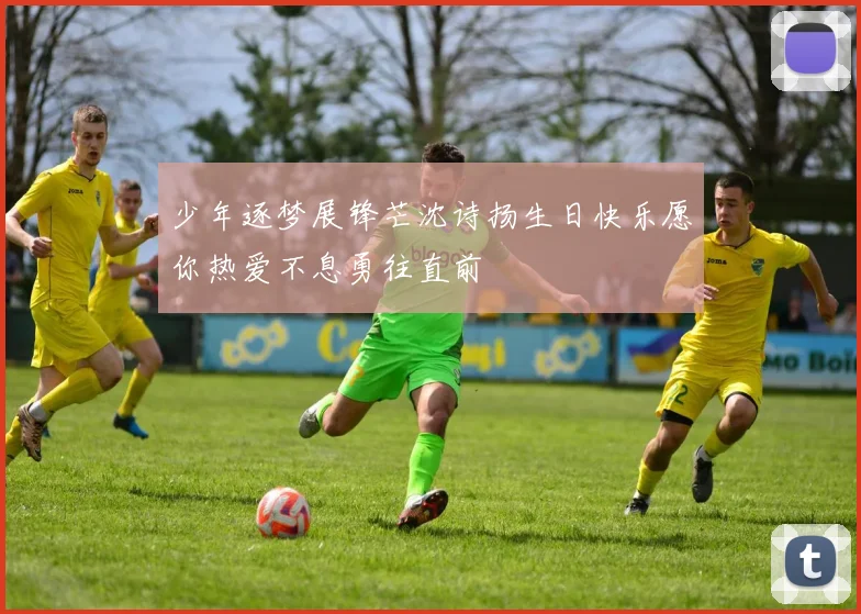 少年逐梦展锋芒沈诗扬生日快乐愿你热爱不息勇往直前